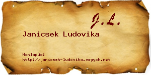 Janicsek Ludovika névjegykártya